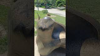 Granado verdiĝas en Esperanto.