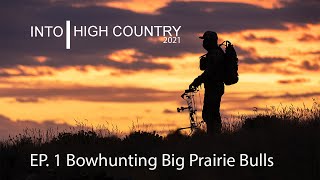 Bowhunting Big Prairie Bulls