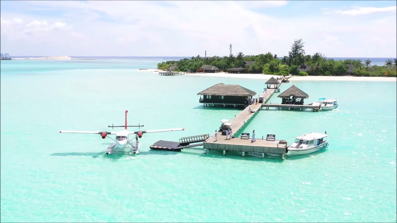 Bliss   Wish You Were Here  ★