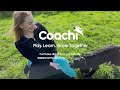 Coachi reward toys   company of animals