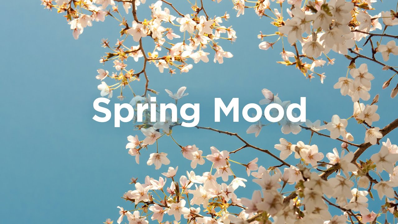 Spring Mood Playlist πΏ Chill Vibes for Sunny Days π· Spring Mood Playlist πΏ Chill Vibes for Sunny Days π·