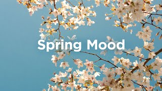 Spring Mood Playlist  Chill Vibes for Sunny Days