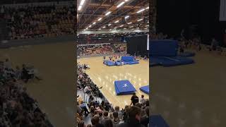 Gymnastik opvisning | hazbin hotel | insane