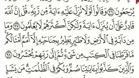 تصحيح تلاوة الأخ أحمد دعيبس بصوت الأخ المجاز بسّام السباعي.