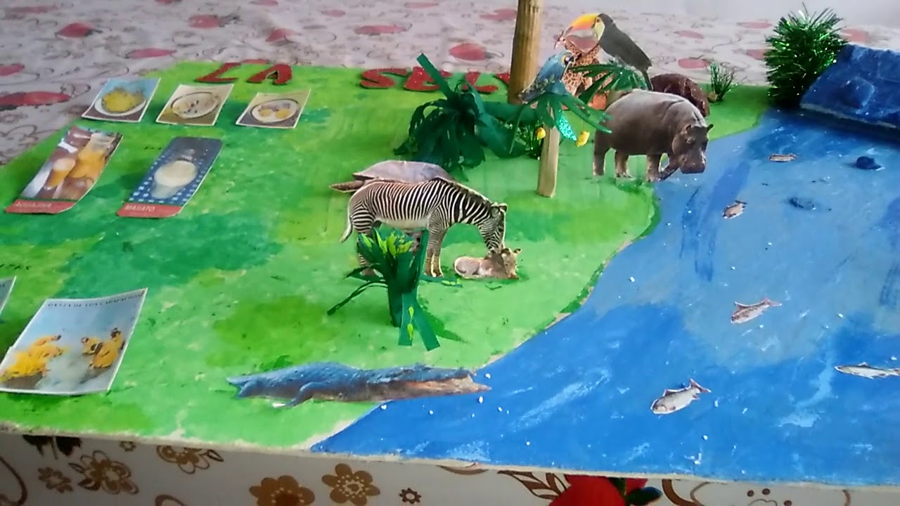 Maqueta región selva - YouTube