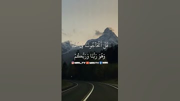 ماهر المعيقلي - سورة البقرة ( برواية حفص عن عاصم ) الأية 138 - 139