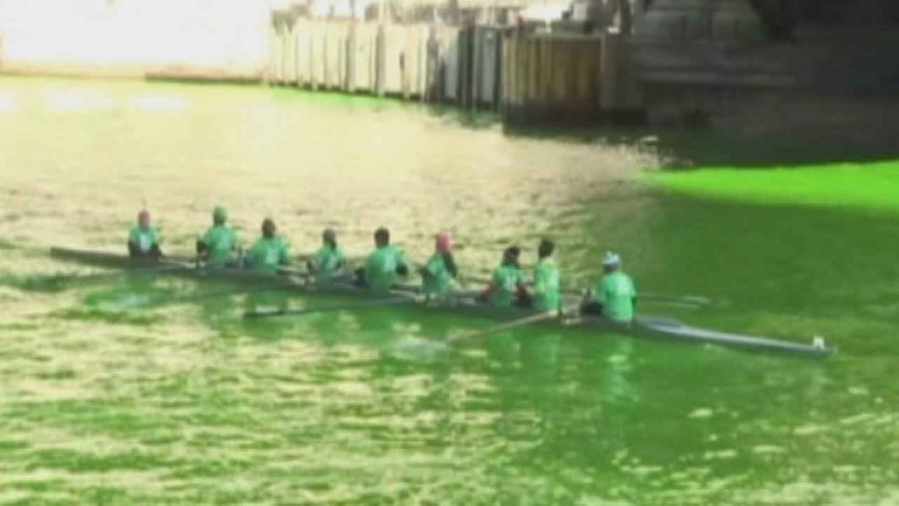Chicago River is dyed green for St. Patrick's Day