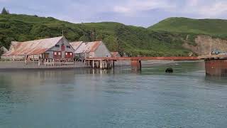 Beautiful Snug Harbor, Alaska