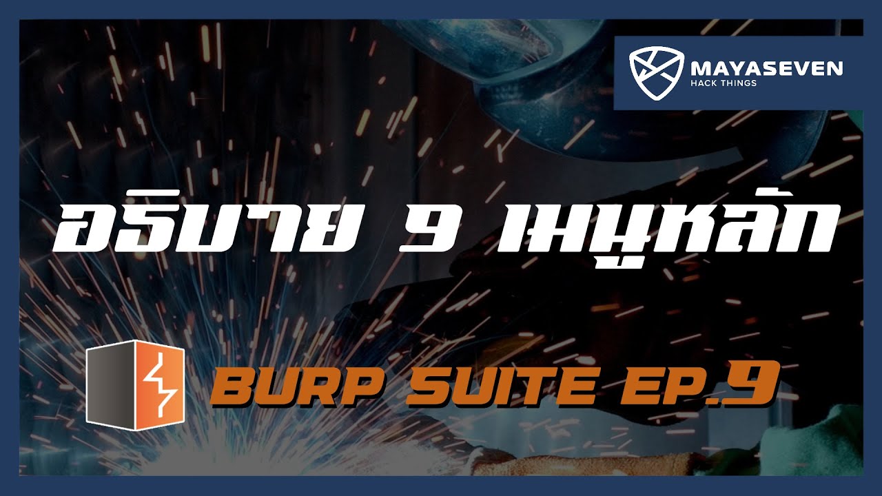burp suite enterprise edition cracked