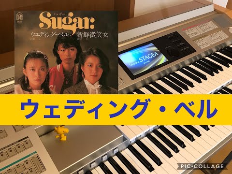 ウェディング・ベル Suger エレクトーン