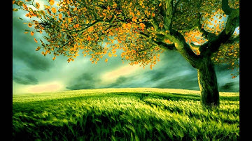 #رمضانيات 16 / تلاوه من سورة يوسف - ماجد الزامل