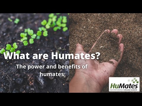 فيديو: Humates - أسمدة صديقة للبيئة