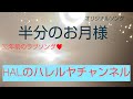 🌟【半分のお月様★オリジナルソング】🌟HALzzhang Singer(ハルチャング)