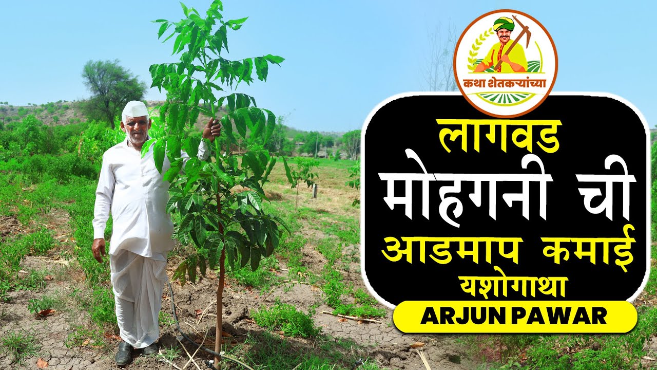 लागवड मोहगनी ची आडमाप कमाई यशोगाथा | कथा शेतकऱ्यांच्या | अर्जुन पवार