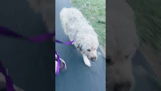 954th day with Violet Tuliza