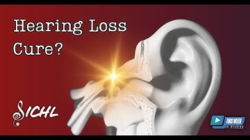 Inside the Stanford Initiative to Cure Hearing Loss: Cutting-Edge Science and Innovation