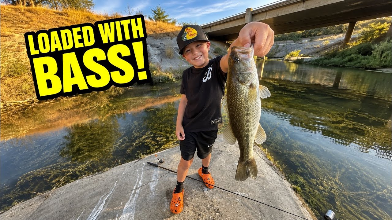 LOADED WITH BASS UNDER A FREEWAY?! 😱🎣 🎣🔥 | Pleasanton CA Fishing