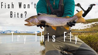 Fly Tying: The Ultimate Balanced Leech for Fly Fishing Lakes