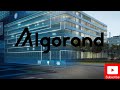 Algorand Foundation & ALGO Crypto Review | Another Ethereum Killer or Helper?