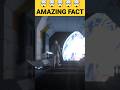 ये रहे 3 AMAZING FACTS जरूर देखे |TOP 3 AMAZING FACTS| #shorts #facts @rahasyafacts582