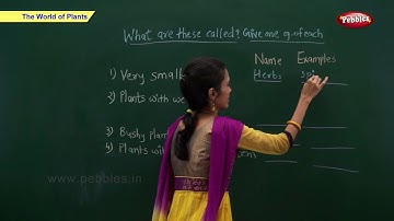 CBSE Class 2 Science : World of Plants | Class 2 Science CBSE School Syllabus Videos | NCERT