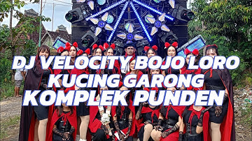 DJ VELOCITY BOJO LORO X KUCING GARONG PEMUDA KOMPLEK PUNDEN RONGGO JAKEN FEAT AURA MUSIK