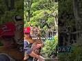 Taming an angry and unapproachable tiger cub #shorts #tiger