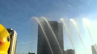 ラバーダック3 20131225