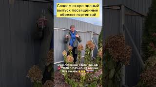 Совсем скоро полный выпуск посвящённый обрезке гортензий и правильной подкормки!!! Мастер класс!!!