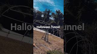 Halloween Tunnel out of PVC