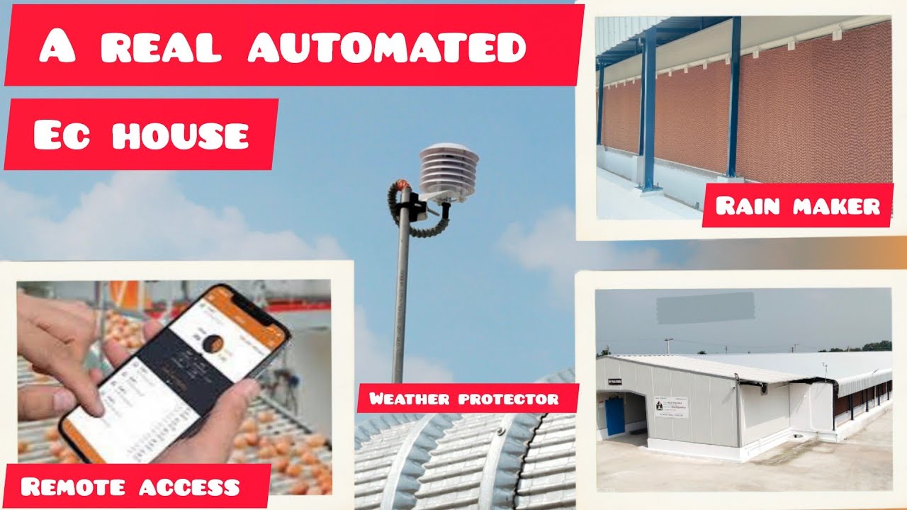 A REAL AUTOMATED EC HOUSE - YouTube