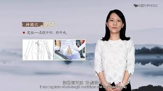 6.2 任脉