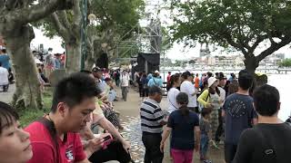 2019 龍潭大池 龍舟競賽