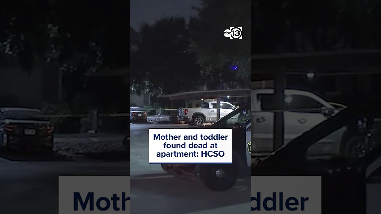 Person of interest detained after mother and toddler found dead at apartment, HPD says
