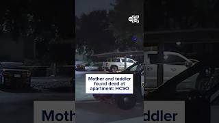 Person of interest detained after mother and toddler found dead at apartment, HPD says