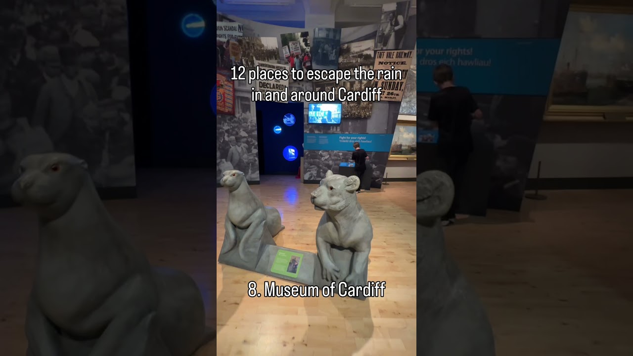 What to do in Cardiff when it rains