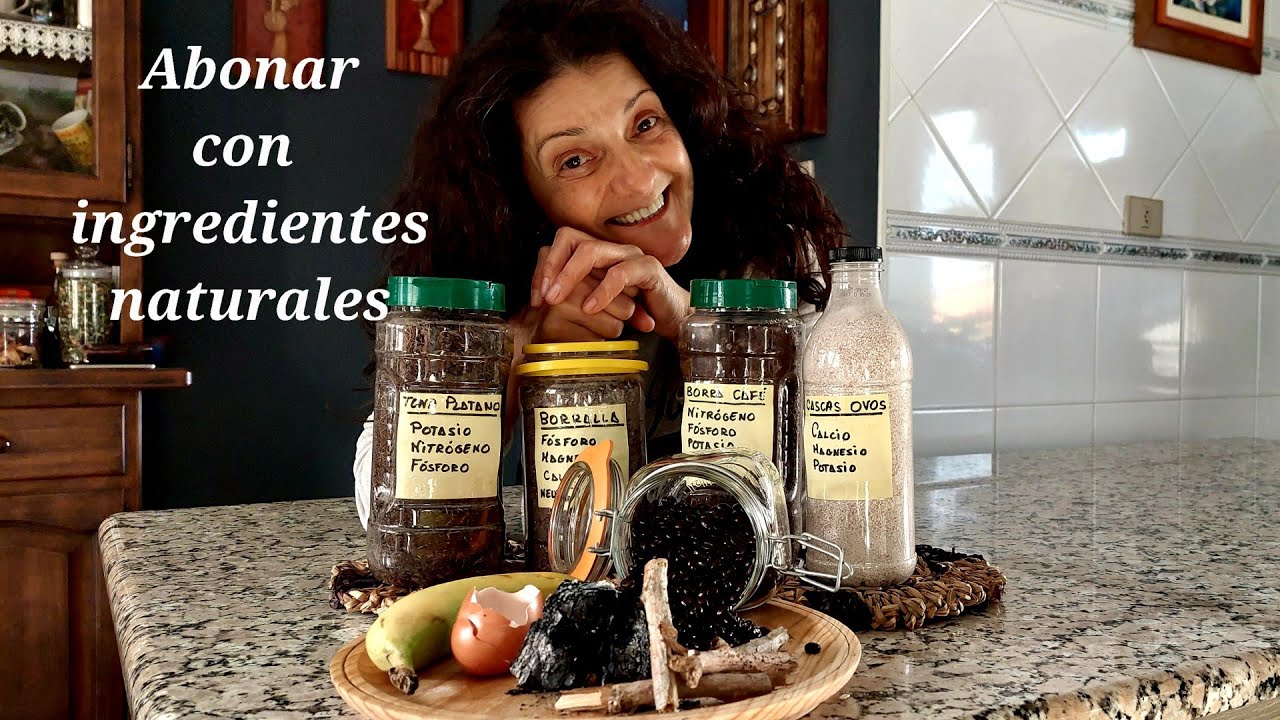 ABONOS CASEIROS (Fertilizar, abonar, compostar) 🍌🥚☕ ||{NUSKA}