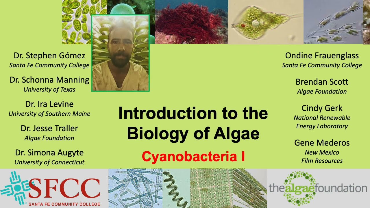 Lecture 10 Cyanobacteria I 230530 complete
