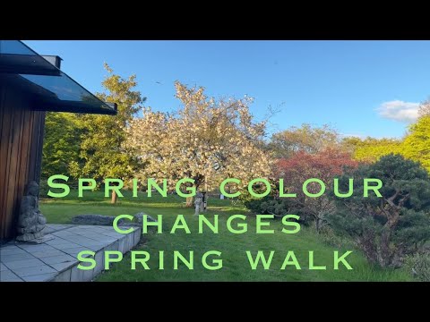 Colour Changes on the Nursery - Spring Walk