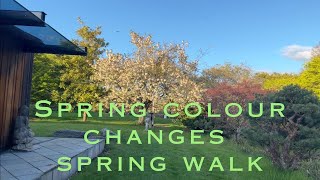 Colour Changes on the Nursery - Spring Walk