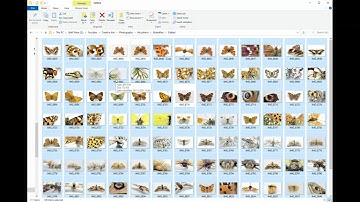 How to print an A3 contact sheet