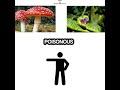 Difference Between Venomous and Poisonous 🐍🍄#snake #wildlife #learning #venom