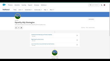 Equality Ally Strategies Trailhead Answer #trailheadbadges
