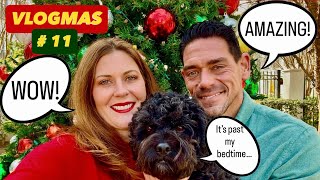 Everything About The Christmas Lights Reminded Us Of Florida...