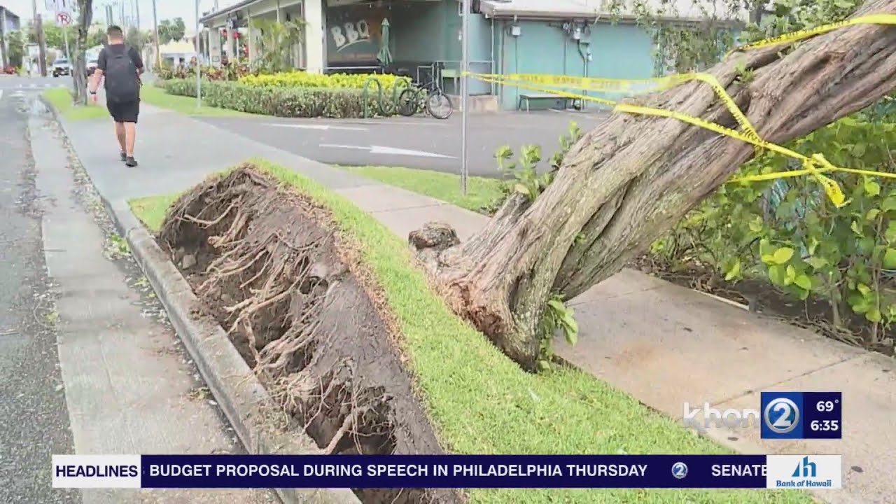 Hawaiian Electric Power Outage Update YouTube