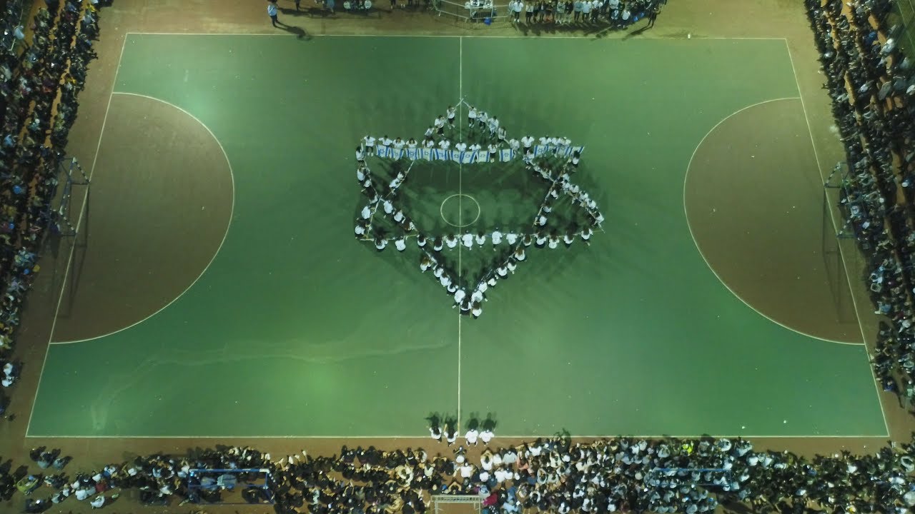 דגלנות-תסים שבט 