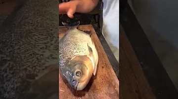 Como tirar o cheiro de fritura de peixe da cozinha?