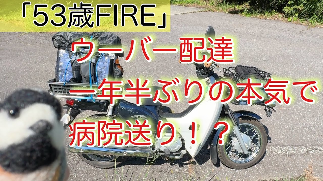 初期型ライブディオZXあるあるベアリング異音をチェック - YouTube