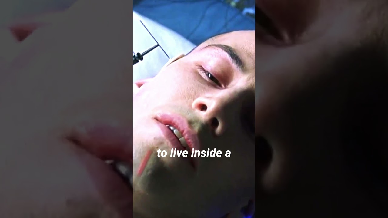 What if Neo took the BLUE PILL instead of the RED PILL in THE MATRIX? 