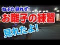 ねぷたがちょうど見れなくて…お囃子の練習を見てきました!